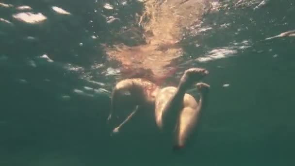 Молодая женщина подводная модель в белой ткани на фоне голубой воды. — стоковое видео
