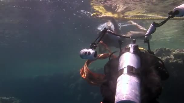 Kameraman lő videó fiatal nő víz alatti modell. — Stock videók