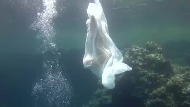 물 속에서 모델 이 자유롭게 창조 된 천사의 탄생. — 비디오