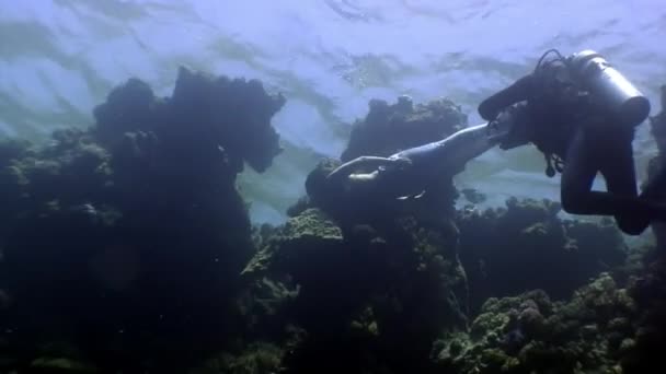 Kameraman střílí video mladá žena podvodní model mořská panna. — Stock video