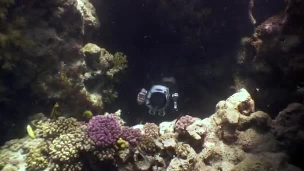 Cameraman tire vidéo jeune femme modèle sous-marin sirène. — Video