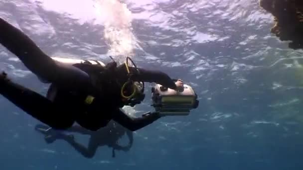 Оператор знімає відео молода жінка під водою модель русалка . — стокове відео