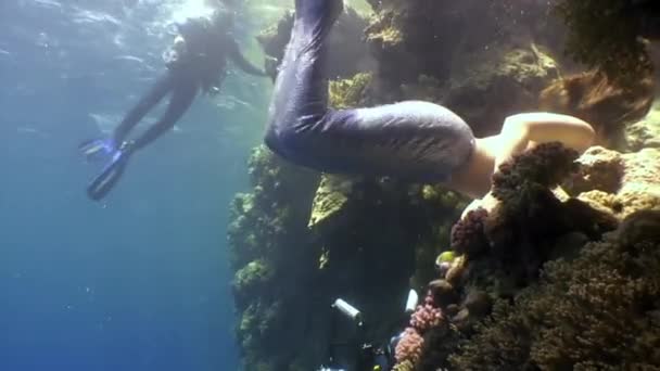 Cameraman tire vidéo jeune femme modèle sous-marin sirène. — Video