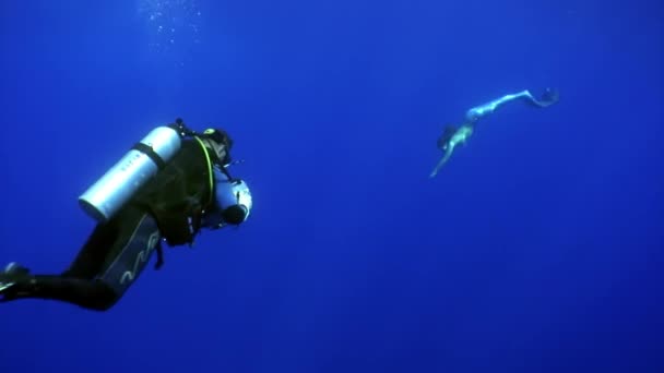 Jonge vrouw zeemeermin poses voor camera van cameraman onderwater in zee. — Stockvideo