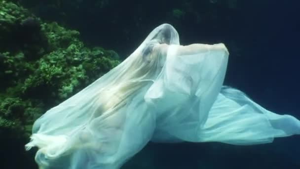 Young woman underwater model in white cloth on background of blue water. — Stock Video
