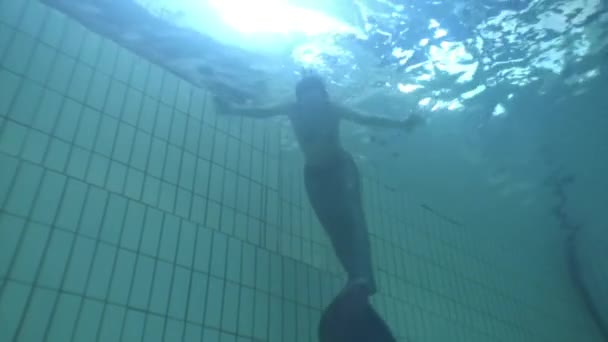 수영장에서 인어 의상을 입은 수중 모델. — 비디오