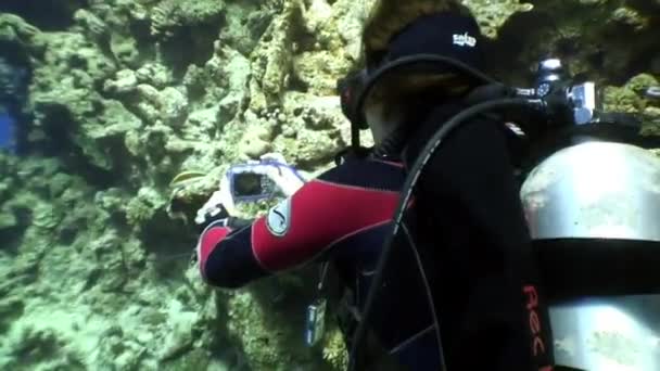 Cameraman tire vidéo jeune femme modèle sous-marin sirène. — Video