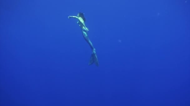 Pez marlín azul pez espada Istiophoridae cerca de sirena mar submarino. — Vídeo de stock