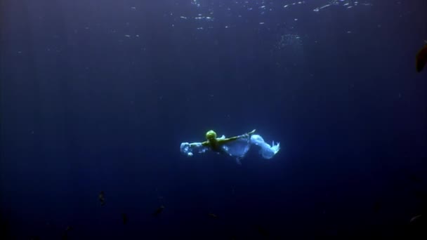 흰옷을 입은 수중의 젊은 여자, 물고기와 수영하는 모습. — 비디오