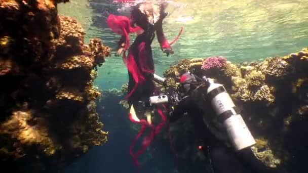 Camarógrafo dispara video joven mujer bajo el agua modelo sirena. — Vídeos de Stock