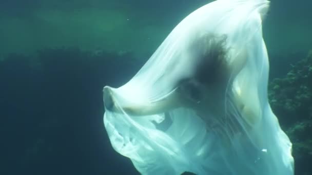 Jeune femme modèle sous-marin en tissu blanc sur fond d'eau bleue. — Video