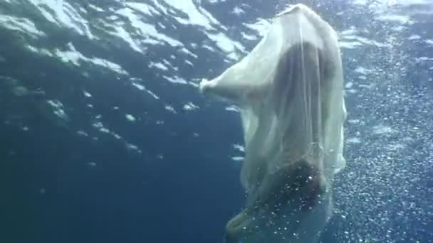 Молода жінка підводна модель в білій тканині на тлі блакитної води . — стокове відео