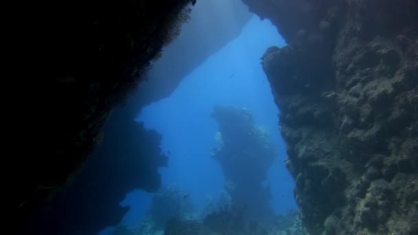 Tiro subaquático de recife de coral de Mar Vermelho. — Vídeo de Stock