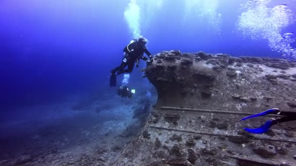 Дайвинг рядом с кораблекрушением под водой на Фиджи. — стоковое видео