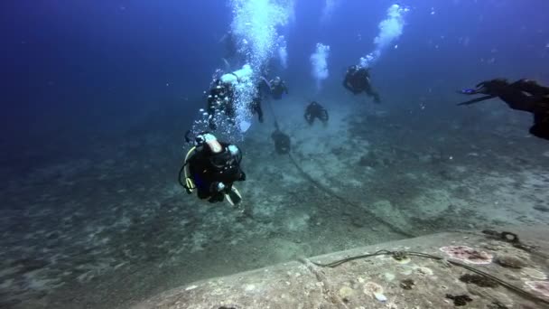 Des plongeurs nagent près d'une épave sous-marine aux Fidji. — Video