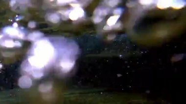 Verzaska dağının akan suları İsviçre 'de güneş ışığında oynuyor ve parlıyor.