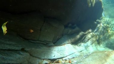 Su taşı keskinleştirir.