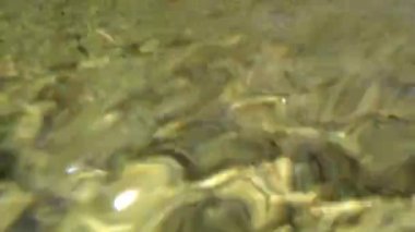 Su taşı keskinleştirir.