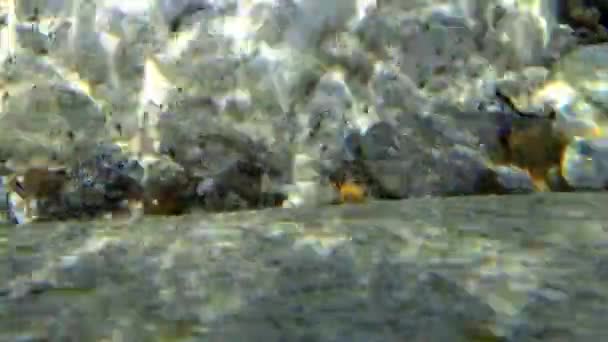 Grote gladde rotsen op de bodem onder stromend water van de bergrivier Verzaska. — Stockvideo