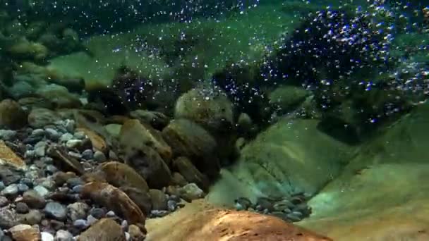 Сила води. Річка різьблює каньйон. Вода змиває камінь.. — стокове відео