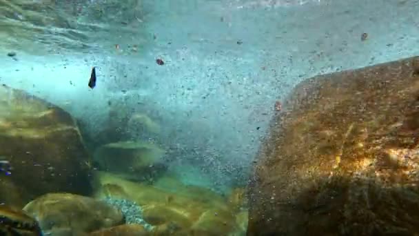 Vatten av berget ren flod Verzaska i Schweiz sliter bort sten. — Stockvideo