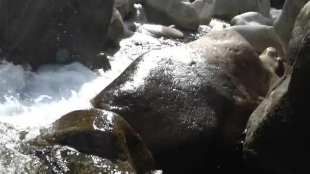 Vortex et puissance de l'eau de montagne pure rivière Verzaska en Suisse. — Video