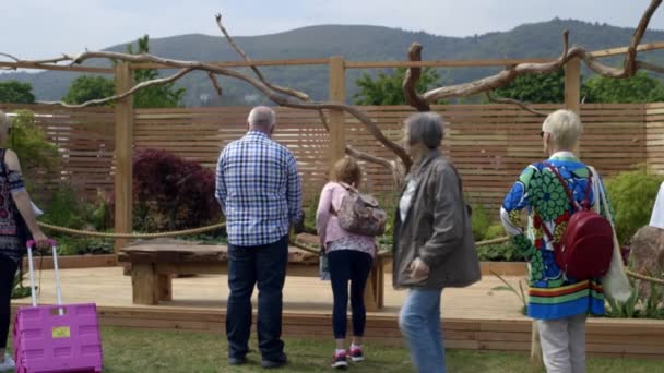 Les gens regardent une clôture en bois dans la conception du paysage sur le festival de printemps RHS Malvern Hills. — Video