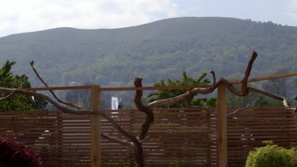 Wooden fence in landscape design on spring festival RHS Malvern Hills. — Stock Video