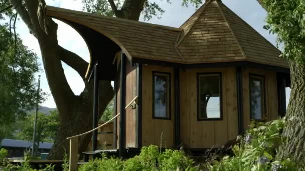 Proyecto y diseño de pérgola de madera cerca del árbol. — Vídeos de Stock