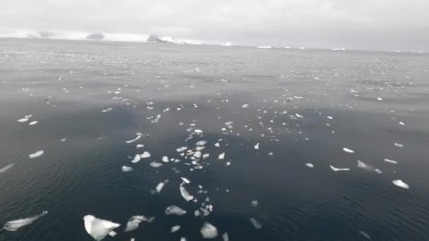 En timelapse av en roddbåt som simmar genom vatten. — Stockvideo