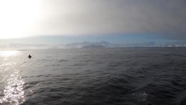 Apă umplută cu gheață în largul coastei Antarcticii . — Videoclip de stoc