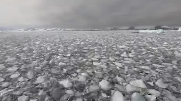 Woda wypełniona lodem u wybrzeży Antarktydy. — Wideo stockowe