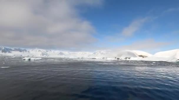 Iceberg gigante galleggiante dallo scioglimento del ghiacciaio in Antartide. — Video Stock