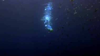 Beyaz elbiseli, su altındaki genç bir melek..