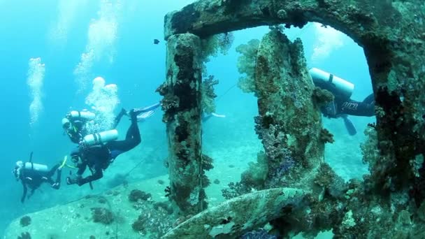 Vis de navire d'épave sous-marine et groupe de plongeurs. — Video