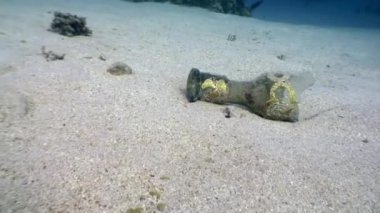Kızıl Deniz 'in kumlu tabanında kırık cam şişe..