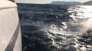 Hareket eden yelkenli yatının yayı .