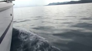 Hareket halindeki beyaz yat, su yüzeyinin dalgalarını kesiyor..