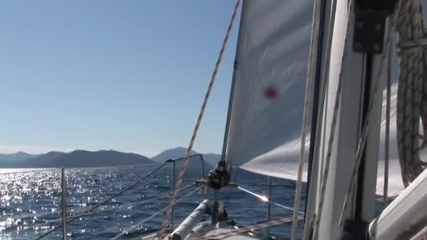 Équipement, détails, cordes et blancs voiles de yacht. — Video
