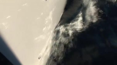 Beyaz yatın burnu ve kenarları su yüzeyinin dalgalarını kesiyor..