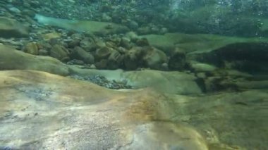 Su taşı keskinleştirir.