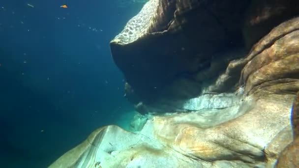 İsviçre 'deki Verzaska dağ nehrinin yakınındaki su taşları keskinleştiriyor. — Stok video