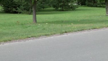 Uluslararası takım zaferi ve spor festivali.