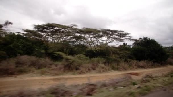 Снимок Кенийской долины, сделанный из движущейся машины. — стоковое видео