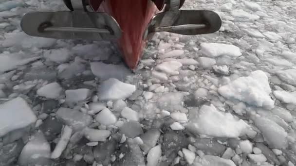 Een ijsbreker die door ijskoud water zwemt. — Stockvideo