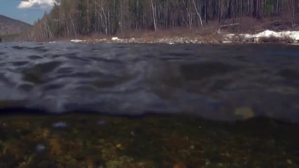 Чистая вода и каменное дно весной в горной реке Темник. — стоковое видео