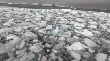 Antarktika açıklarında buzla dolu su.