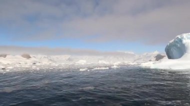 Antarktika 'daki eriyen buzuldan yüzen dev buzdağı.