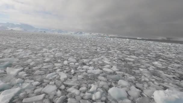 A red boat swimming through ice-filled waters — Stock Video