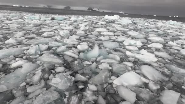 Agua helada frente a la costa de la Antártida. — Vídeos de Stock